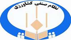 یک‌ میلیون 300 هزار بهره‌بردار کشاورزی در تشکل نظام صنفی عضو هستند